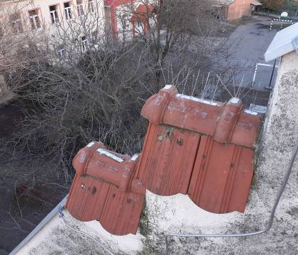 3 soros galambtüske