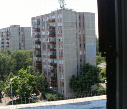 Galambok elleni védőháló