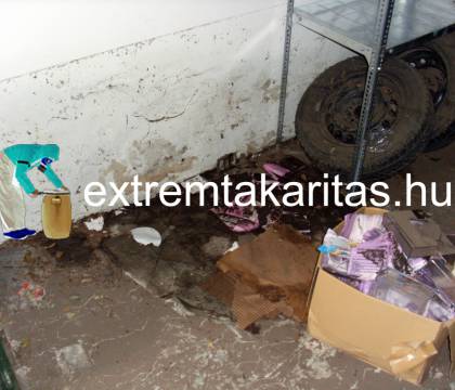 Vízkár enyhítés árvíz utáni fertőtlenítés helyreállítás
