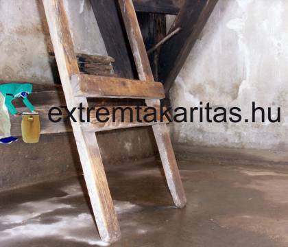 Galambszar fertőtlenítő takarítás