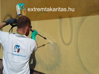 A falfirkák megjelenése a falon rendkívül bosszantó probléma tud lenni